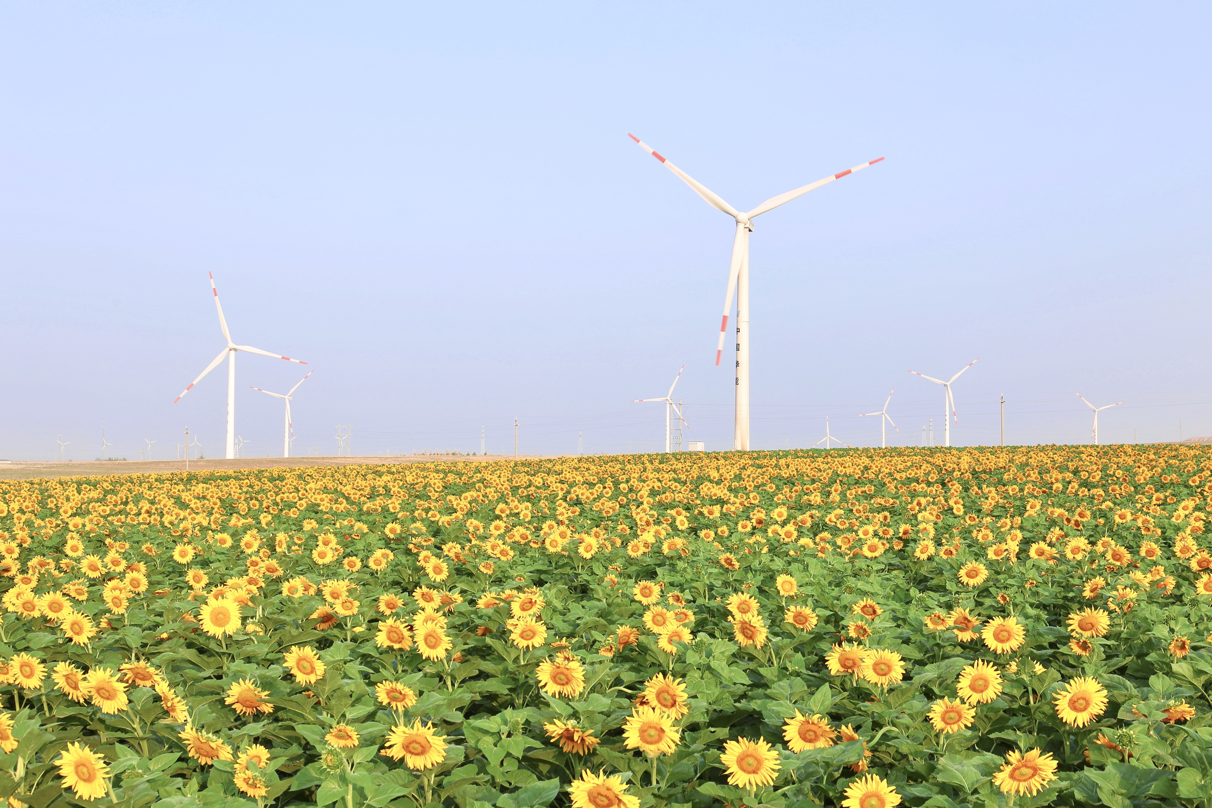 人生就是搏股份助力推动风电场节造技术国际研发项目顺利执行