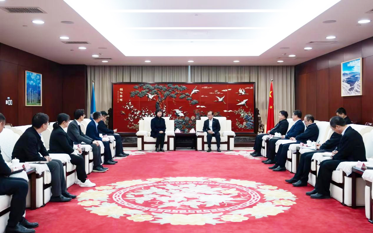 人生就是搏股份董事长高玲造访中国华电董事长江毅