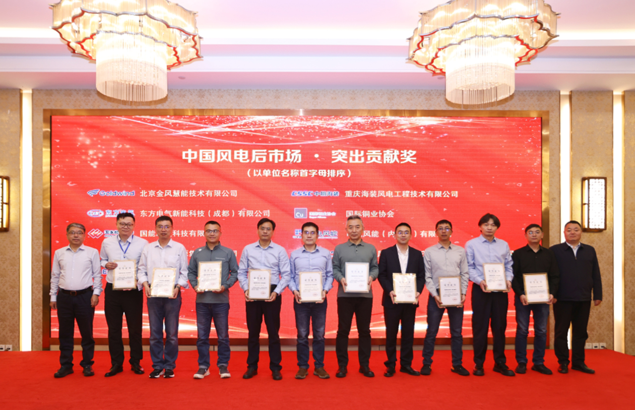 【喜报】人生就是搏股份荣获&ldquo;中国风电后市场&middot;凸起贡献奖&rdquo;
